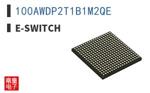 100AWDP2T1B1M2QE