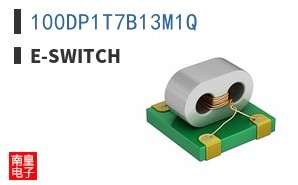 100DP1T7B13M1Q