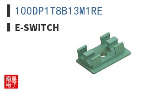 100DP1T8B13M1RE