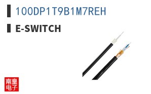 100DP1T9B1M7REH