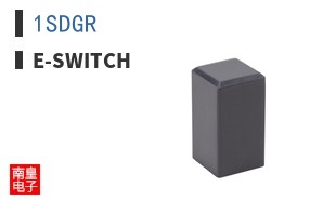 1SDGR