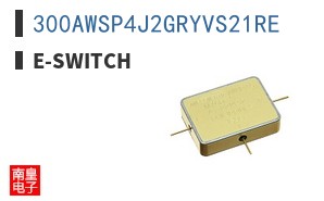 300AWSP4J2GRYVS21RE