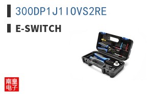 300DP1J1IOVS2RE