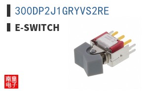 300DP2J1GRYVS2RE