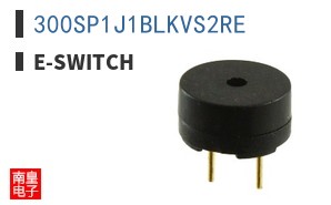 300SP1J1BLKVS2RE