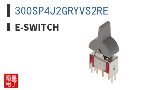 300SP4J2GRYVS2RE