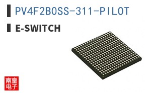 PV4F2B0SS-311-PILOT