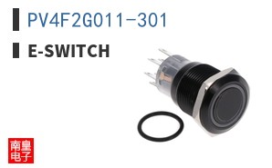 PV4F2G011-301