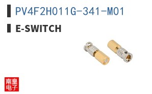 PV4F2H011G-341-M01