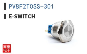 PV8F2T0SS-301