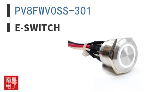 PV8FWV0SS-301