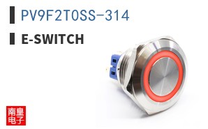 PV9F2T0SS-314