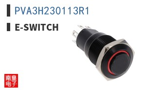 PVA3H230113R1