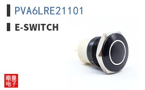 PVA6LRE21101