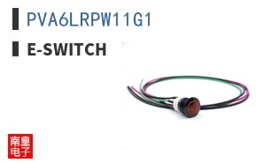 PVA6LRPW11G1