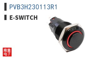 PVB3H230113R1