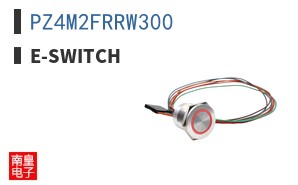 PZ4M2FRRW300