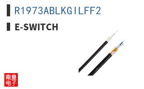 R1973ABLKGILFF2