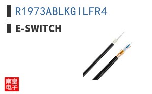 R1973ABLKGILFR4