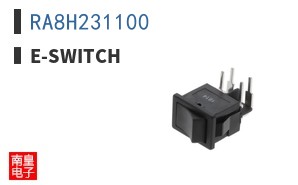 RA8H231100