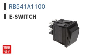 RB541A1100