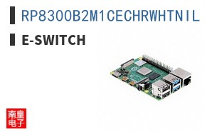 RP8300B2M1CECHRWHTNIL