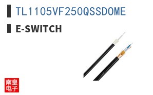 TL1105VF250QSSDOME