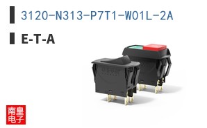 3120-N313-P7T1-W01L-2A