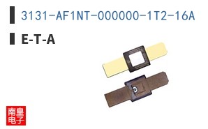 3131-AF1NT-000000-1T2-16A