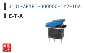 3131-AF1PT-000000-1Y2-10A