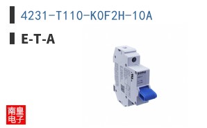 4231-T110-K0F2H-10A