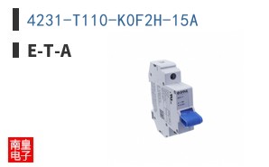 4231-T110-K0F2H-15A