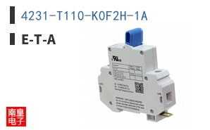 4231-T110-K0F2H-1A