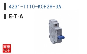 4231-T110-K0F2H-3A