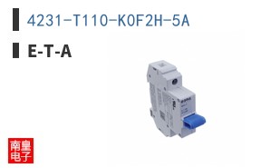 4231-T110-K0F2H-5A