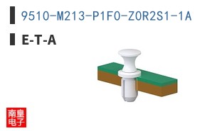 9510-M213-P1F0-Z0R2S1-1A