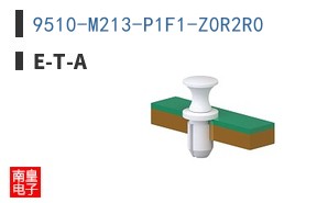 9510-M213-P1F1-Z0R2R0