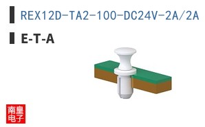 REX12D-TA2-100-DC24V-2A/2A