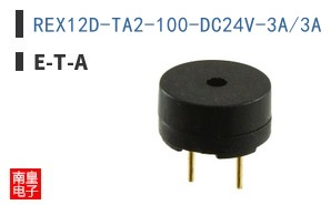 REX12D-TA2-100-DC24V-3A/3A