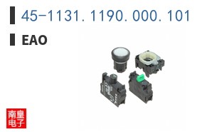 45-1131.1190.000.101