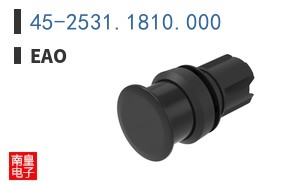 45-2531.1810.000