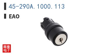 45-290A.1000.113