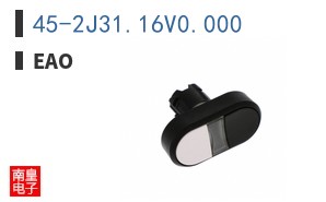 45-2J31.16V0.000