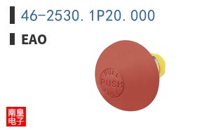 46-2530.1P20.000