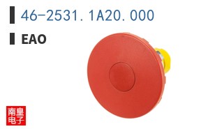 46-2531.1A20.000