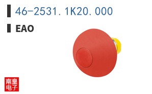 46-2531.1K20.000