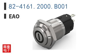 82-4161.2000.B001