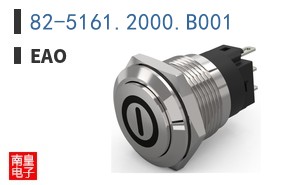 82-5161.2000.B001