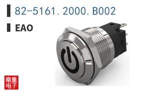 82-5161.2000.B002