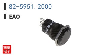 82-5951.2000